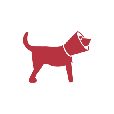 pet surgery icon