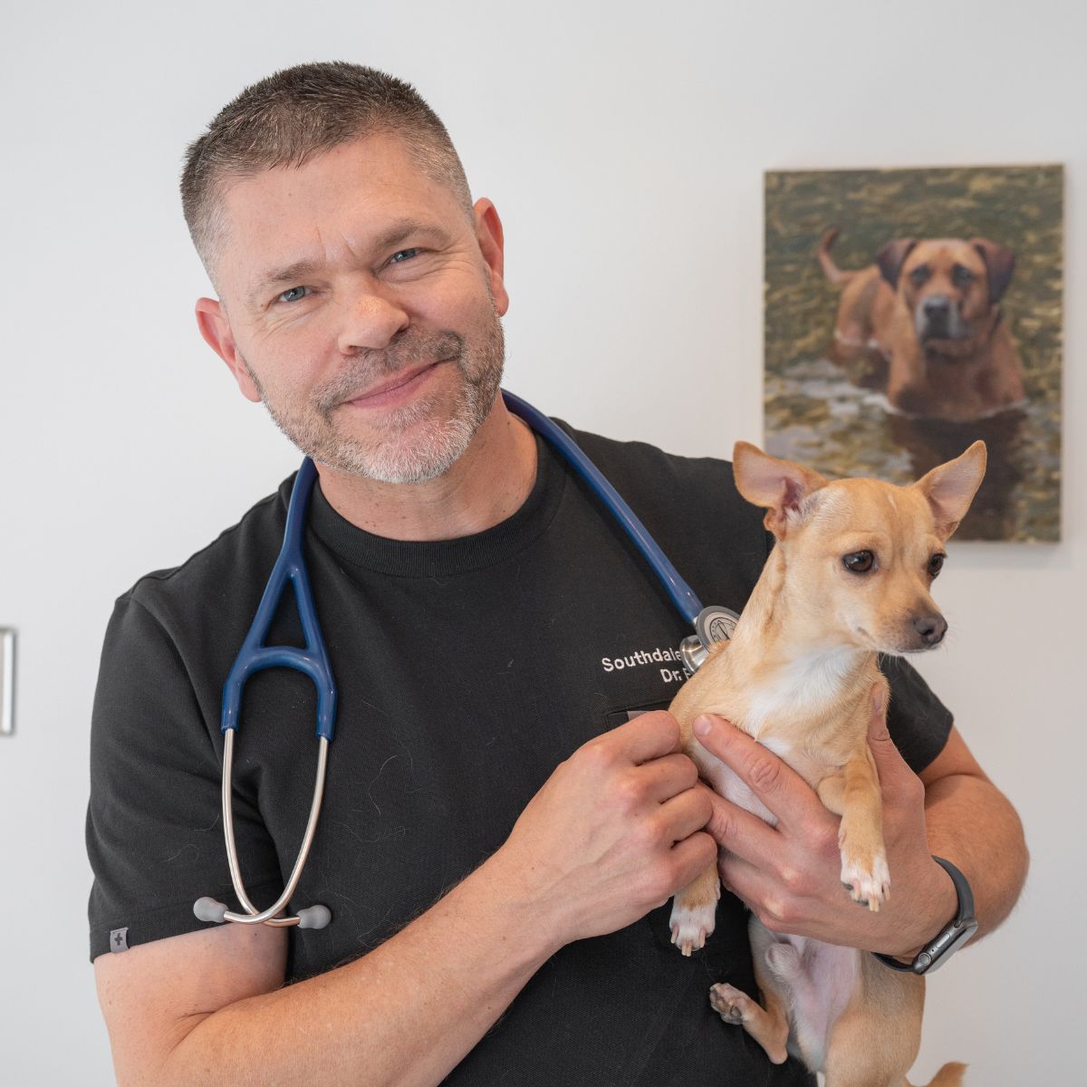 veterinarian with pet dog