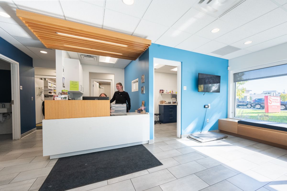 A receptionist stands behind a counter in a hospital