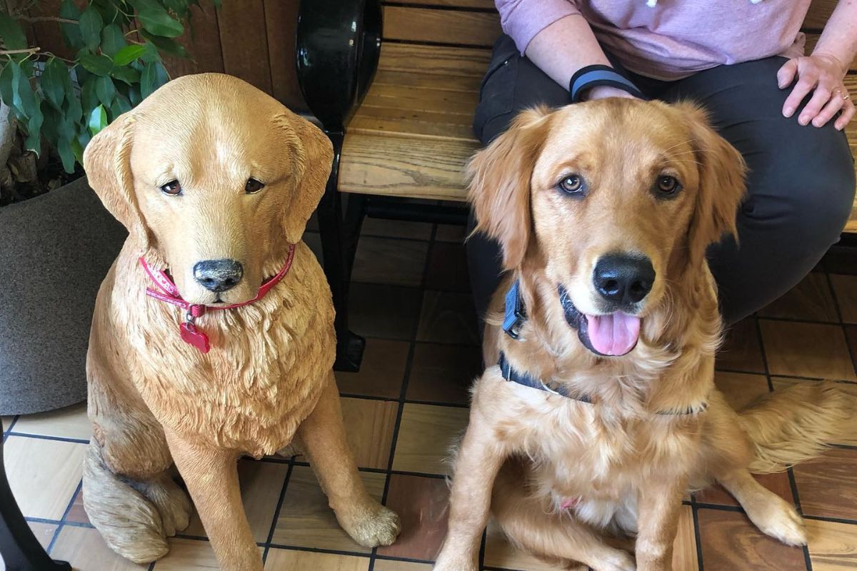 A dog sitting on the floor next to a statue of a dog