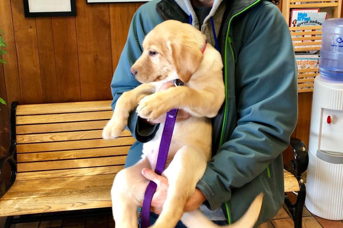 A man gently cradling a small puppy in his arms