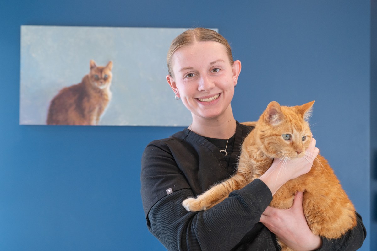 A vet woman holding an orange cat