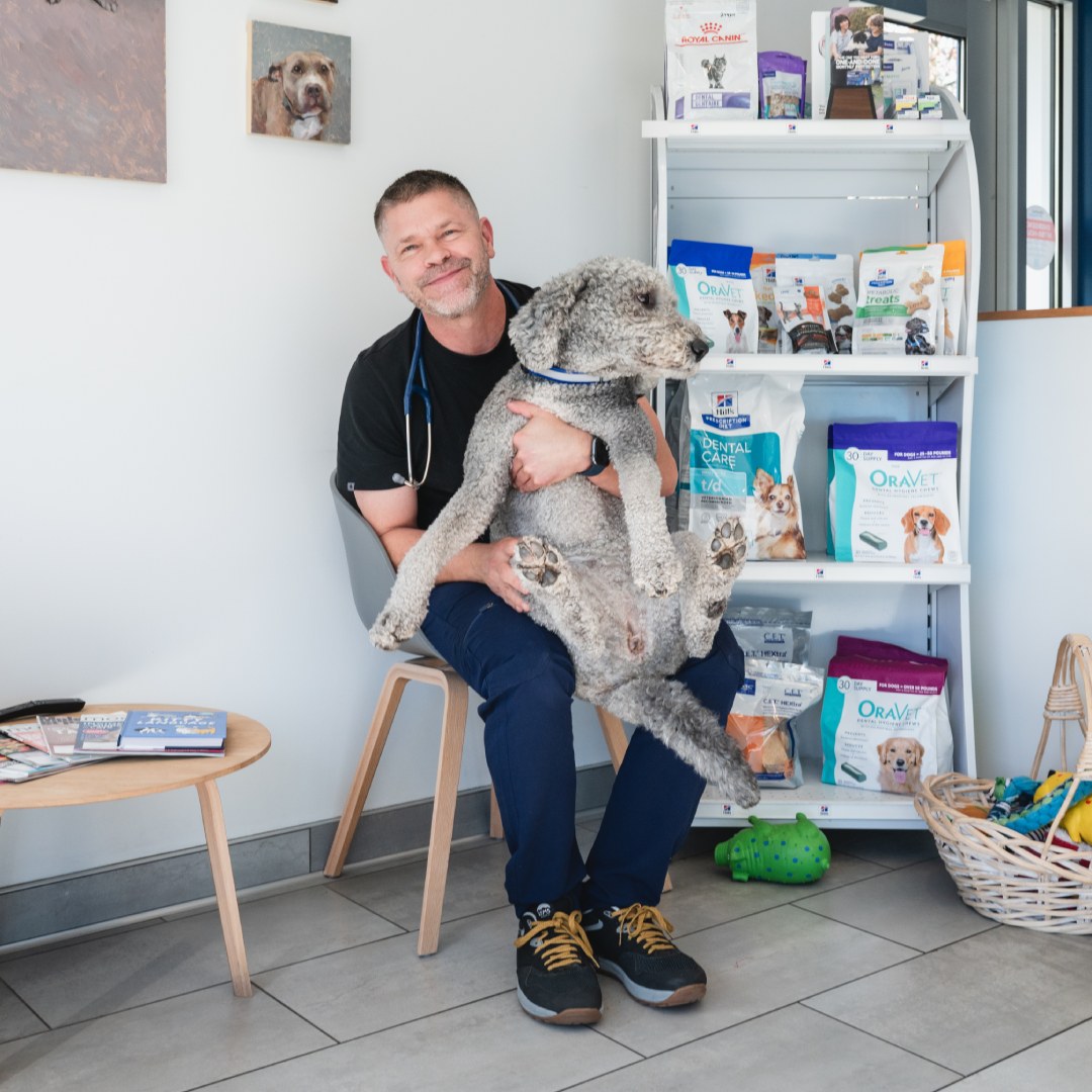 A vet sitting on a chair holding a dog