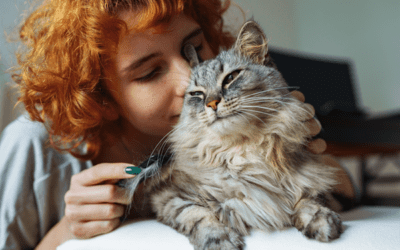 April 19 is National Cat Lady Day